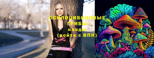 МДПВ Вязьма
