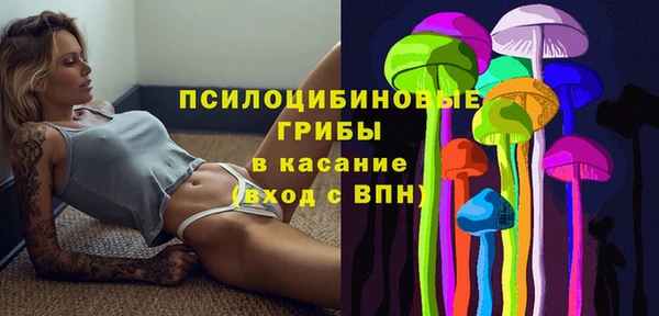 МДПВ Вязьма